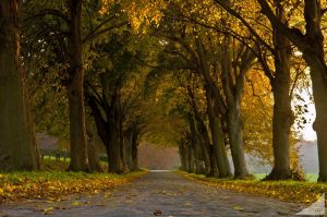 Bild 13: S01 Ostsee, Insel Rügen, Lohme, behagliches Studio, nahe der Kreideküste