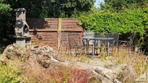 Bild 12: S04 Rügen behagliche Fewo mit 2 Schlafräumen und Balkon, Meerblick im Grün