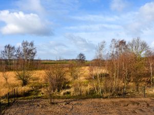 Bild 15: Ferienwohnung Louise in ruhiger Lage