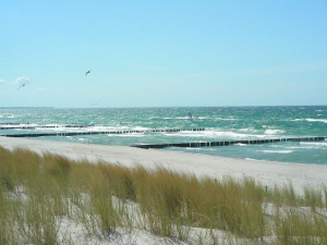 Ostseestrand... Sand, Sonne, Wind und Wellen - die Strände sind wundervoll - so lockt die Ostsee im Sommer. Kilometer langer Sandstrand lädt im Frühling, Herbst und Winter zu langen Spaziergängen ein, die Ruhe und die frische Seeluft sind Balsam für Körper und Seele. Geniesen Sie Natur.
Mit dem Auto in ca. 4km (es gibt auch ein Hundestrand) zuerreichen.