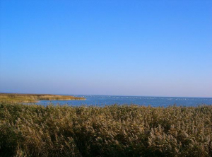 Natur pur.
Mit dem Fahrrad auf dem Deich, immer am Bodden lang, ist ein Vergnügen. Schöne Fahrradwege ziehen sich durch den ganzen Nationalpark "Vorpommersche Boddenlandschaft"