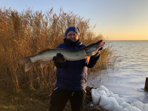 Bild 13: Ostseeurlaub mit Hund - Wassergrundstück - Angeln
