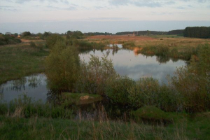 Bild 20: Ferienwohnung nähe Poseritz ohne Extrakosten für Ihren Hund