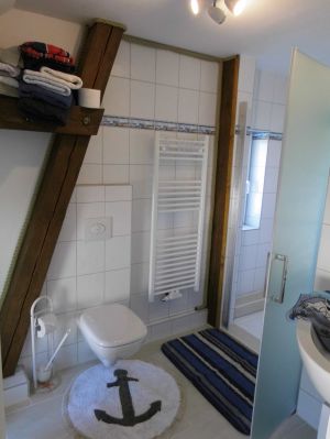 Blick im Badezimmer auf die Dusche