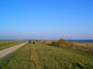 Erkunden Sie auch die Gegend mit dem Fahrrad.