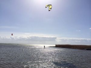 Bild 17: Ostseeurlaub Piratennest Darß - Hundeparadies - Wassergrundstück