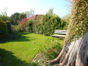 Der schöne Garten