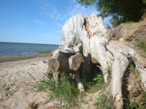 Der Strand
