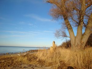 Naturstrand