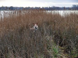 Bild 10: Ferienhaus alte Schmiede Habertwedt