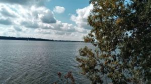 Bild 9: Ferienhaus alte Schmiede Habertwedt