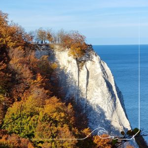 Bild 21: D42 Rügen, mit dem Strand für die ganze Familie vor der Nase, mit Terrasse