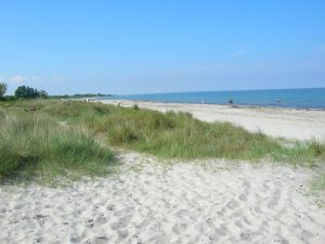 Bild 6: Ferienwohnung Strandstraße nur 300m vom Meer entfernt