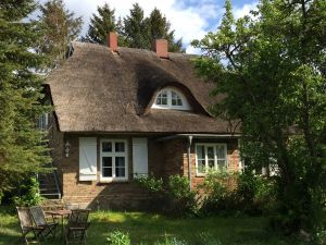 Bild 2: Urlaub mit Hund an der Ostsee
