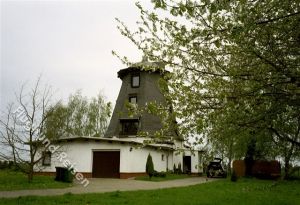 Bild 1: Mühle in Alleinlage mit eingez. Garten auf Rügen für Urlaub mit dem Hund