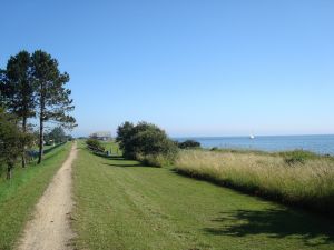 Bild 16 Bild 16: Häuschen "Sunshine Cottage" für max. 3 Pers. - Ostsee mit Hund - strandnah