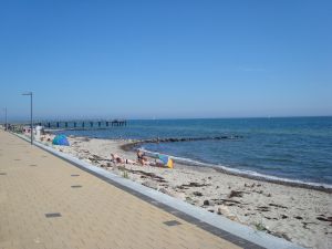 Bild 11 Bild 11: Häuschen "Sunshine Cottage" für max. 3 Pers. - Ostsee mit Hund - strandnah