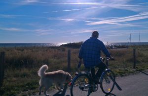 Ausflug mit den Fahrrädern über den gut ausgebauten Fuß- und Fahrradweg nach Dahme - immer an der Ostsee entlang