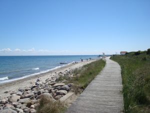 Holzsteg am Strand Bild 17: Häuschen "Sunshine Cottage" für max. 3 Pers. - Ostsee mit Hund - strandnah