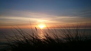Sonnenaufgang Bild 19: Häuschen "Sunshine Cottage" für max. 3 Pers. - Ostsee mit Hund - strandnah