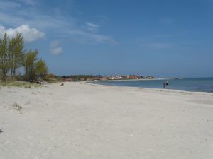 Der Hohwachter Strand auf dem Weg zum Vogelschutzgebiet "Sehlendorfer Binnensee".