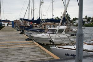 Bild 14: Ferienbungalow an der Ostsee bei Rügen/Stahlbrode