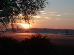 Bild 7: Pension Siegert Whg. 3 im Kranichdorf Bresewitz