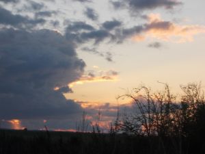 Bild 9: Pension Siegert Whg. 3 im Kranichdorf Bresewitz