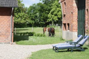 Bild 6: Kutscherhaus Gut Ohrfeld-Einzellage,Meerblick vom Hof, Sauna und Kaminofen