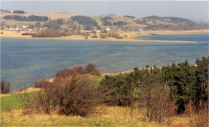 Die Wohnung liegt direkt am Bodden/Ostsee und unmittelbar im Biosphärenreservat (Zickerische Berge).