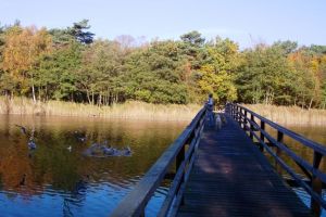 Die Holzbrücke über den Strom auf dem Weg zum Strand