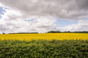 Bild 9: Die 5***** kleine Villa für bis maximal 5 Personen mit Sauna