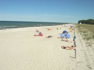 Bild 21: Ostsee Fewo Zingst - 500 m zum Strand
