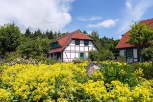 Bild 12: B49 Urlaub auf Rügen mit dem Ostseestrand fast vor der Haustür, 2 SZ