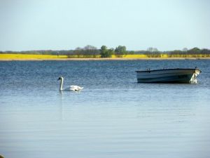 Bild 17: Ferienhaus Stahlbrode Nr. 142, ca. 150m zum Wasser, Zaun, Hunde willkommen