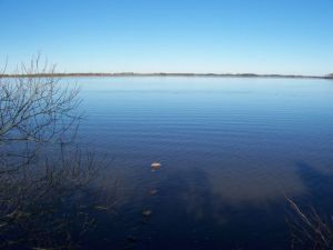 Bild 14: Ferienhaus Stahlbrode Nr. 142, ca. 150m zum Wasser, Zaun, Hunde willkommen