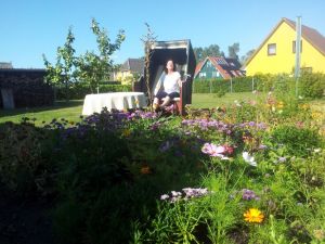 Bild 13: Ferienbungalow unter den Kranichen