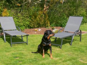 Bild 29: Ferienhaus Windrose Fehmarn OT Puttgarden