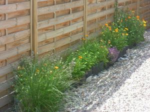 Bild 26: Ferienhaus Windrose Fehmarn OT Puttgarden