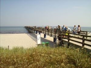 Bild 20: Ferienwohnung in Top-Lage im Herzen von Boltenhagen nur 70 m zum Strand