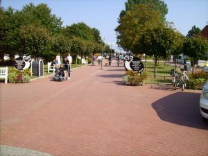 Bild 18: Ferienwohnung in Top-Lage im Herzen von Boltenhagen nur 70 m zum Strand