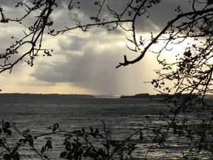 Spaziergang an der Schlei