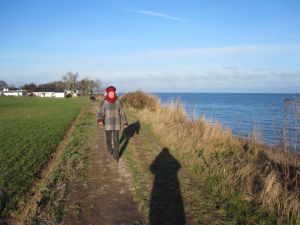 Bild 22: Fewo Ankerplatz-Schönhagen, 800 m zur Ostsee mit Hund, W-Lan + Fahrräder