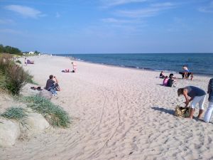 Hundestrand Grömitz Im benachbarten Grömitz finden Sie einen sehr schönen Yachthafen, eine ca. 3 km lange quirlige Promenade mit langer Seebrücke, sowie einen tollen Hundestrand (Bild). Die eine Hälfte ist in den Sommermonaten mit Strandkörben bestückt.