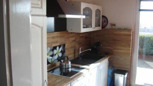 Die Küche ist eine Wohnküche direkt im Wohnzimmer. Kühlschrank mit Gefrierfach, Geschirrspüler, Herd mit Backofen, Kaffeemschine, Wasserkocher.