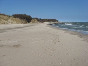 Hier sehen Sie einen kleinen Teil des Strandes von Bliesdorf Strand, welchen Sie vom Haus in 2 Minuten zu Fuß direkt erreichen. Dieser Abschnitt ist das ganze Jahr für Hunde gestattet. Der ganze weitere Strand ist von Ende September bis Mitte Mai für Hunde frei. Außerdem gibt es noch einen "kleinen" Geheimtipp, sobald Sie vor Ort sind! ;-)