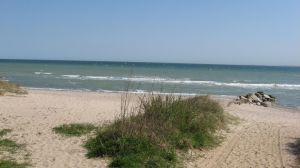 Zu Jeder Jahreszeit ist es schön hier. Frühling, Sommer Herbst und Winter. Gerade in den Zeiten ausserhalb der Sommersaison können Sie die Umgebung als Hundebesitzer besonders geniessen, da hier nur sehr wenige Menschen sind und der Strand komplett für Hunde frei ist. Erholung in seiner besten Form.