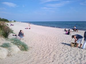 Ihren Hundestrand erreichen Sie in 2 Gehminuten. Den Hundestrand von Grömitz erreichen Sie in 10 Autominuten für den Fall, dass Sie mehr Action haben wollen. Sie haben also alle Möglichkeiten hier.