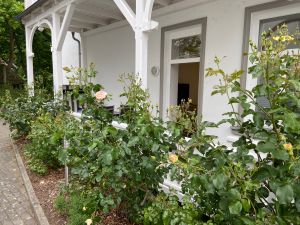 Bild 8: EG FEWO in Göhren 200m zum Strand, Terrasse, WLAN!!