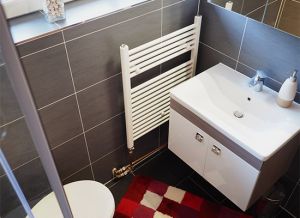 Ebenfalls mit einer bodentiefen Dusche ausgestattet finden Sie hier ein WC, Waschbecken mit Unterschrank und Kosmetikspiegel.